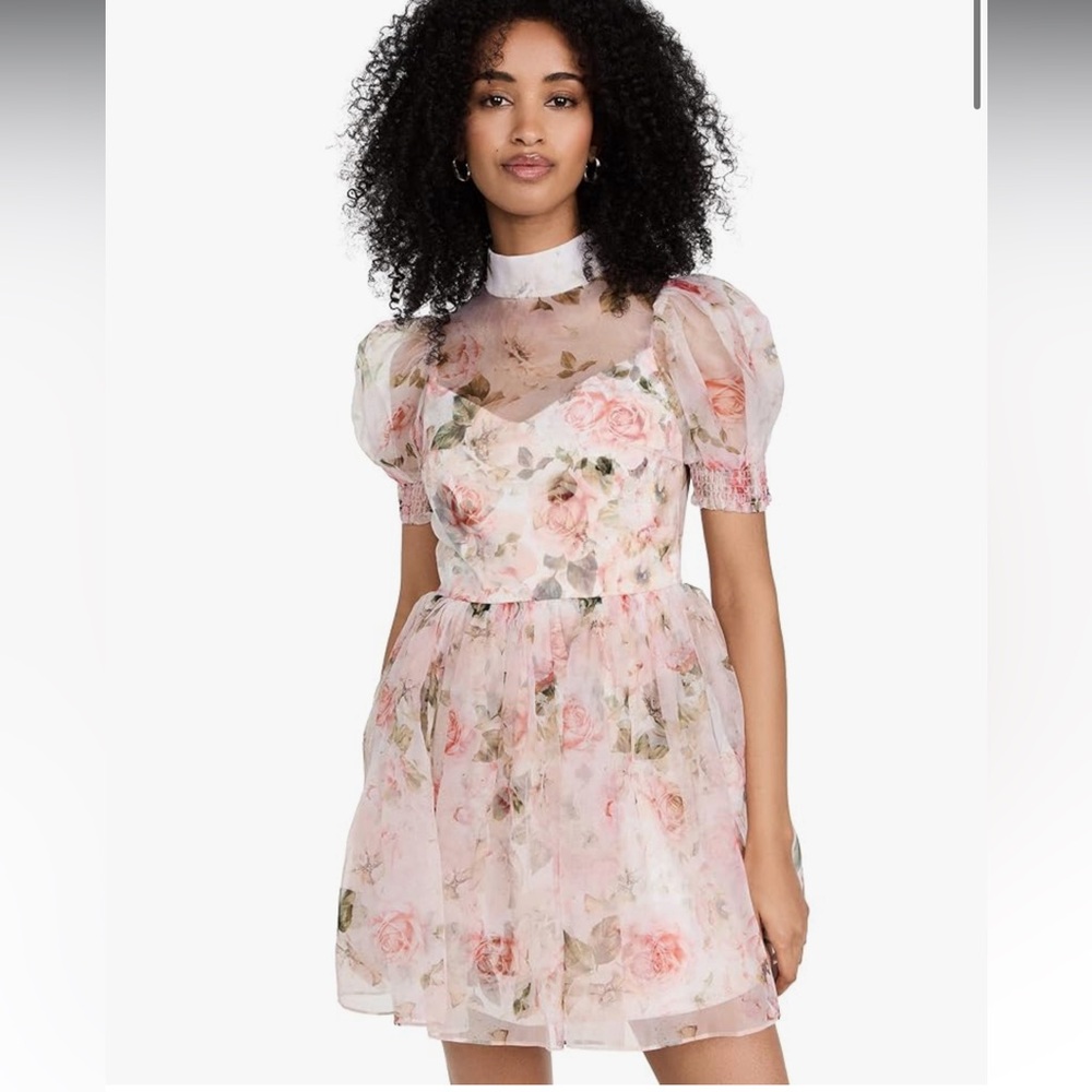 ALICE + OLIVIA Vernita Party Dress in Morningside Floral